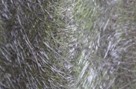 Broxbourne fibreglass roof work